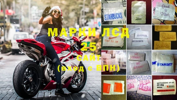 амф Новозыбков